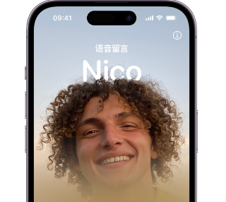 漠河苹果15服务站分享iPhone15实时语音留言开启方法 